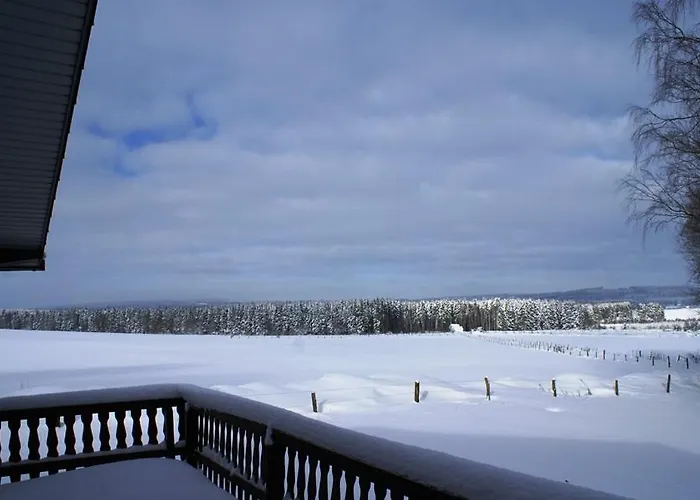 Le Loup Gris - 35 Pers - Vue-wellness, Butgenbach-malmedy Butgenbach