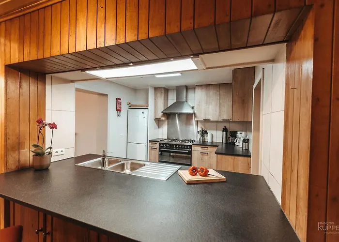 Le Loup Gris - 35 Pers - Vue-wellness, Butgenbach-malmedy Chalet *